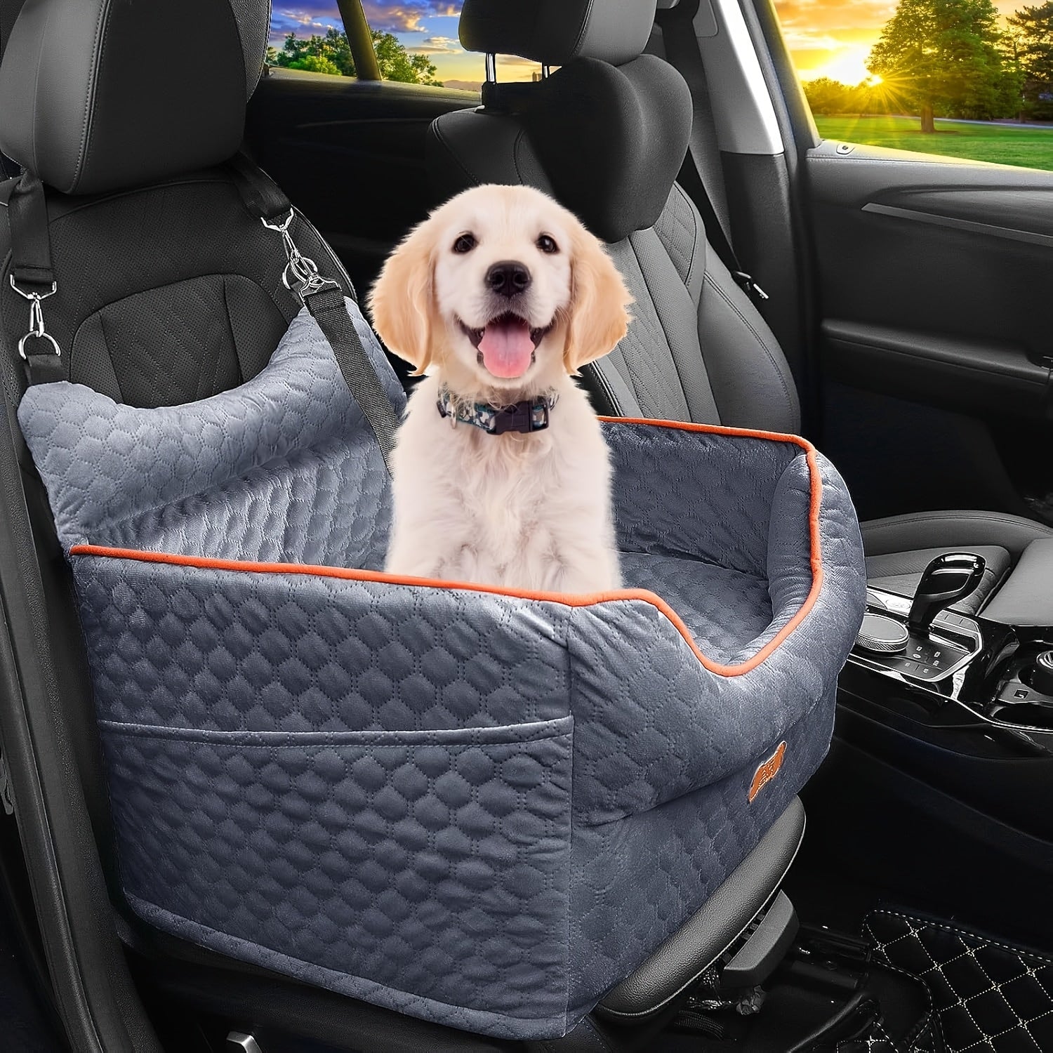 Elevated Dog Travel Seat with Removable Washable Bed