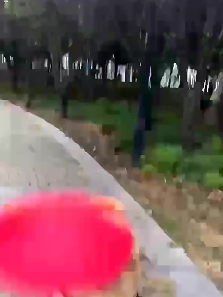 5.91/7.09/8.66inch Rubber Dog Flying Disc Pet Puppy Outdoor Sports Game Training Interactive Toy