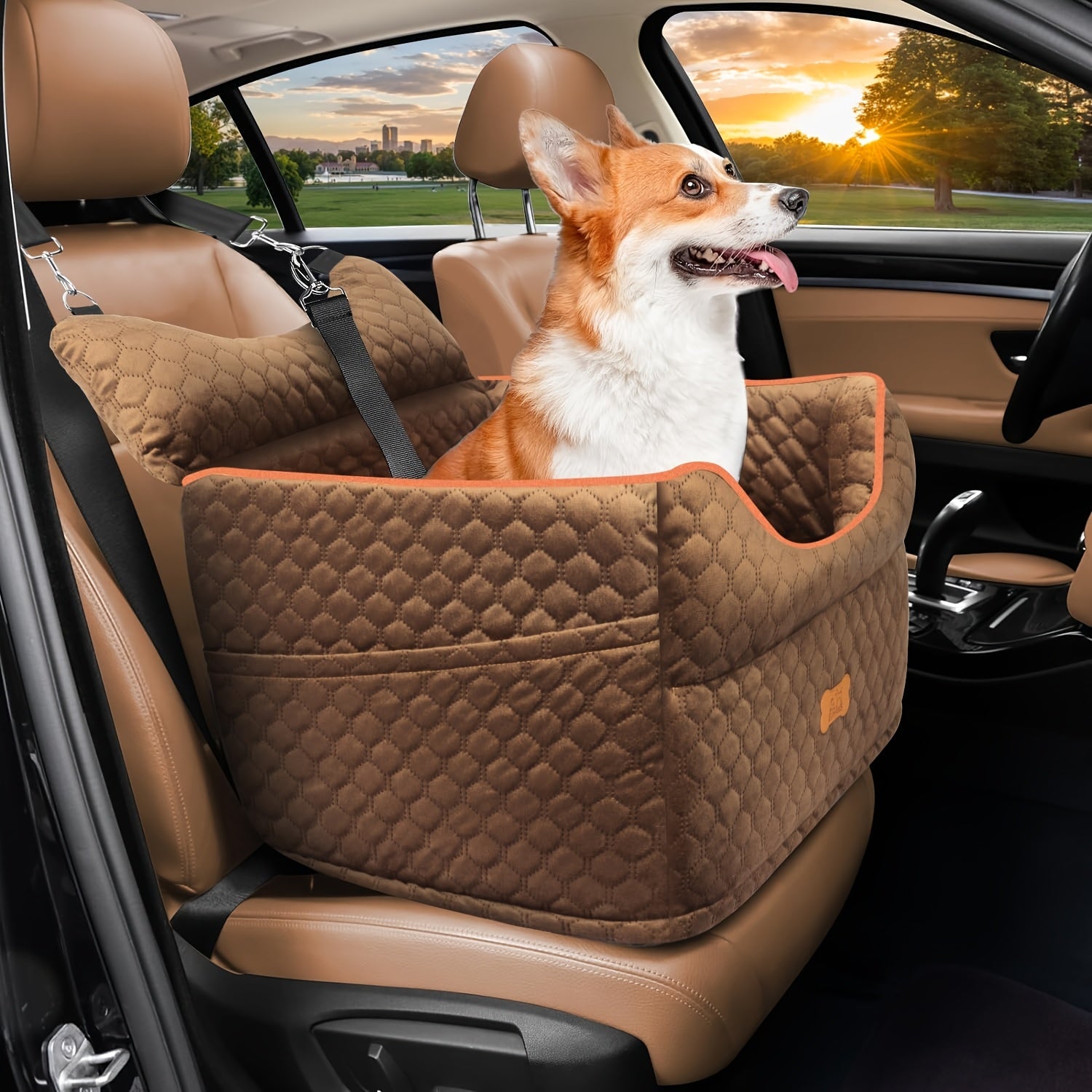 Elevated Dog Travel Seat with Removable Washable Bed