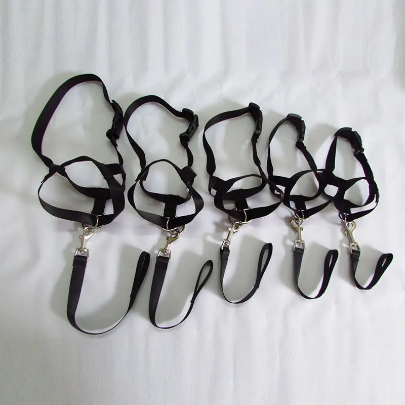 Harness Adjustable Muzzle Dog Halter Leader Belt Dog Collar