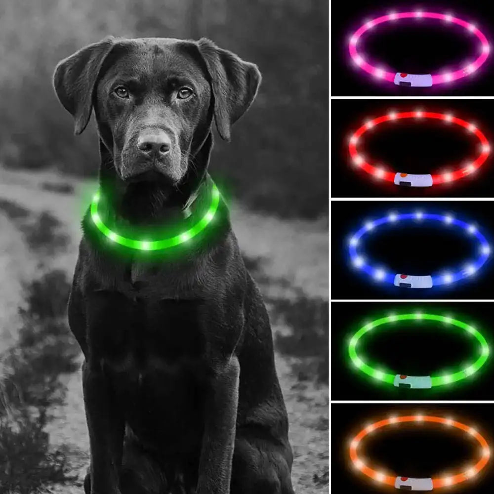 Luminous Pet Dog Collar LED Adjustable Rechargeable