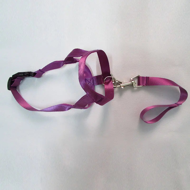 Harness Adjustable Muzzle Dog Halter Leader Belt Dog Collar