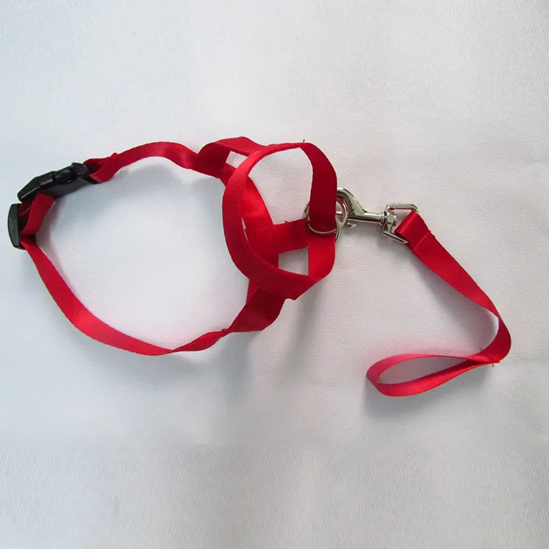 Harness Adjustable Muzzle Dog Halter Leader Belt Dog Collar