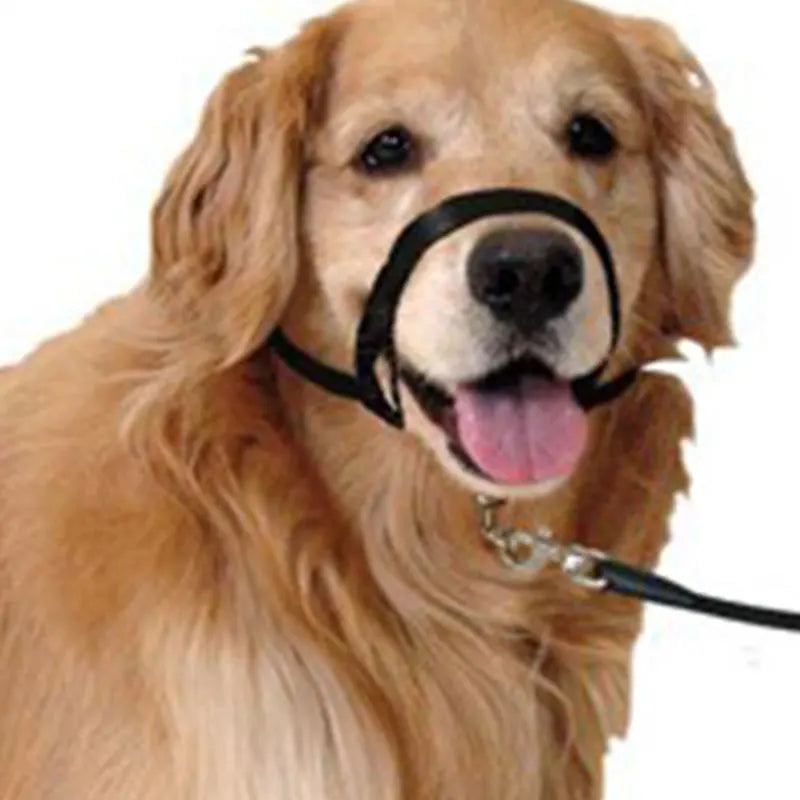 Harness Adjustable Muzzle Dog Halter Leader Belt Dog Collar