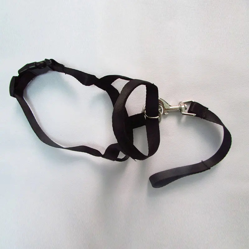 Harness Adjustable Muzzle Dog Halter Leader Belt Dog Collar