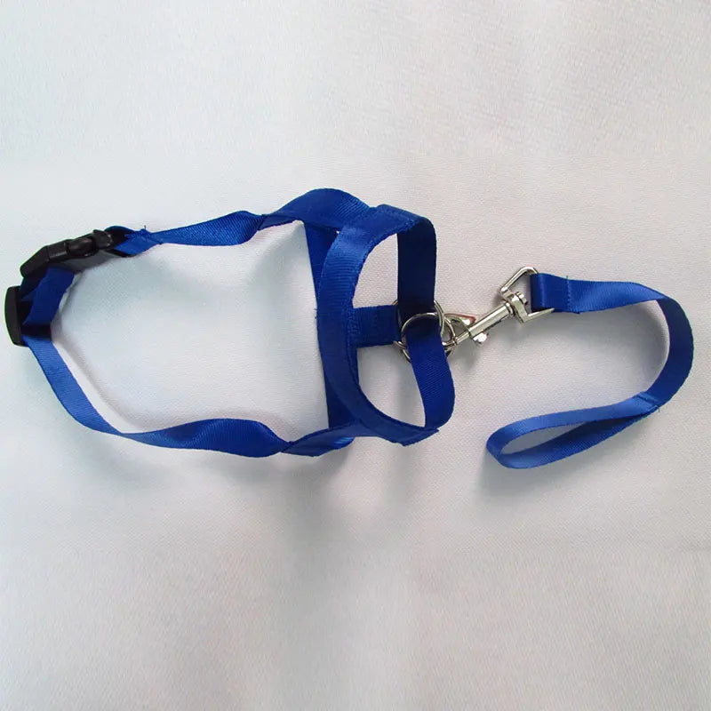 Harness Adjustable Muzzle Dog Halter Leader Belt Dog Collar
