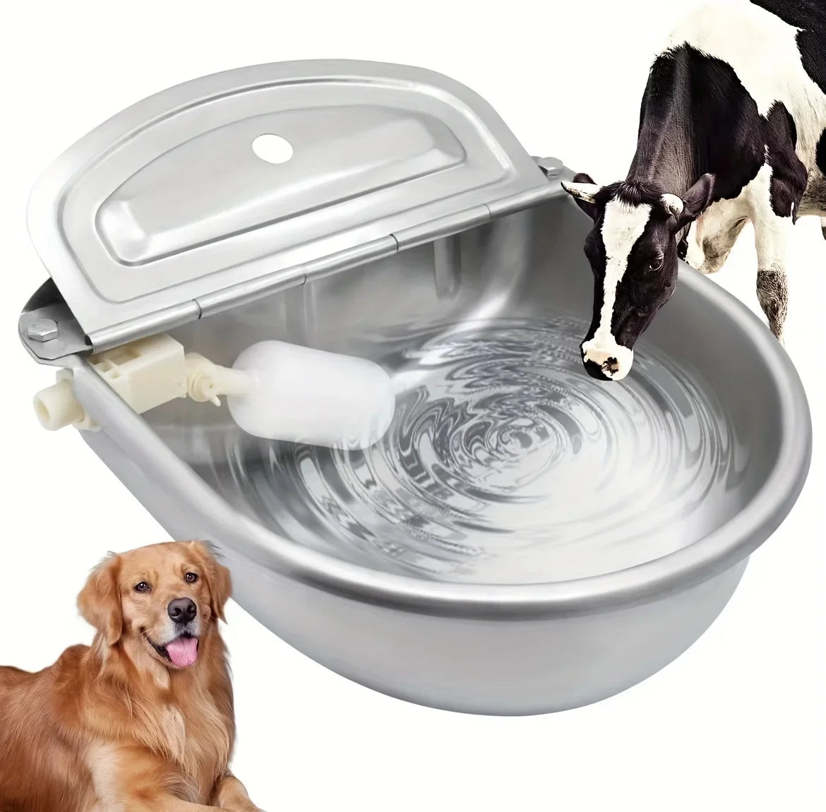Automatic Pet Water Dispenser Bowl