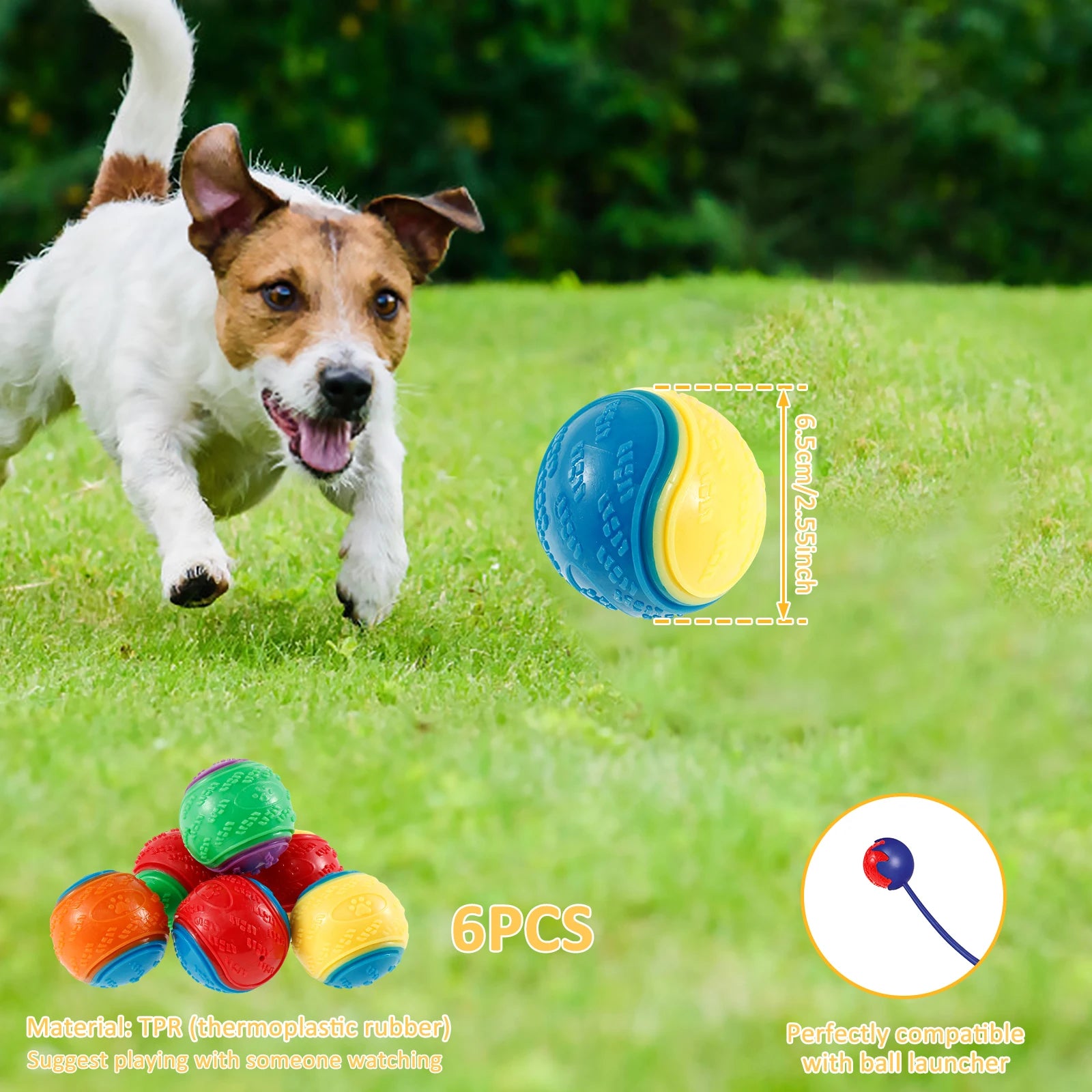Squeaky Dog Ball Toy Set