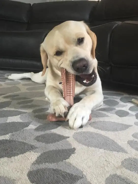 Dog Chew Toys Durable Oral Care Dog Chews Puppy Chew Toys Keep Teeth Clean for Mild Chewing