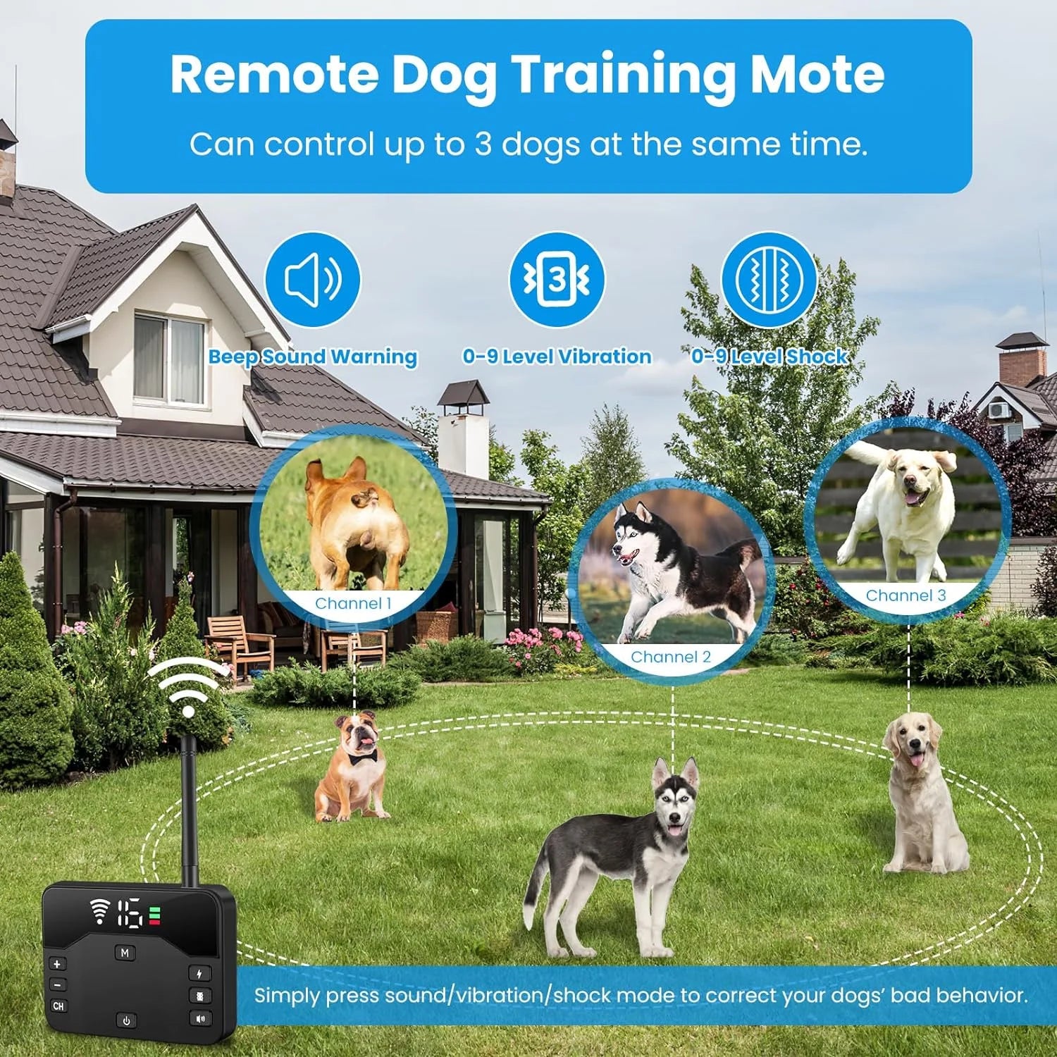 Electric Fence for 2 Dogs Shocks Training Collar Remote