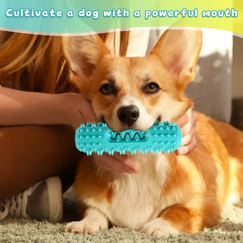 Dog Dental Chew Toothbrush Toy