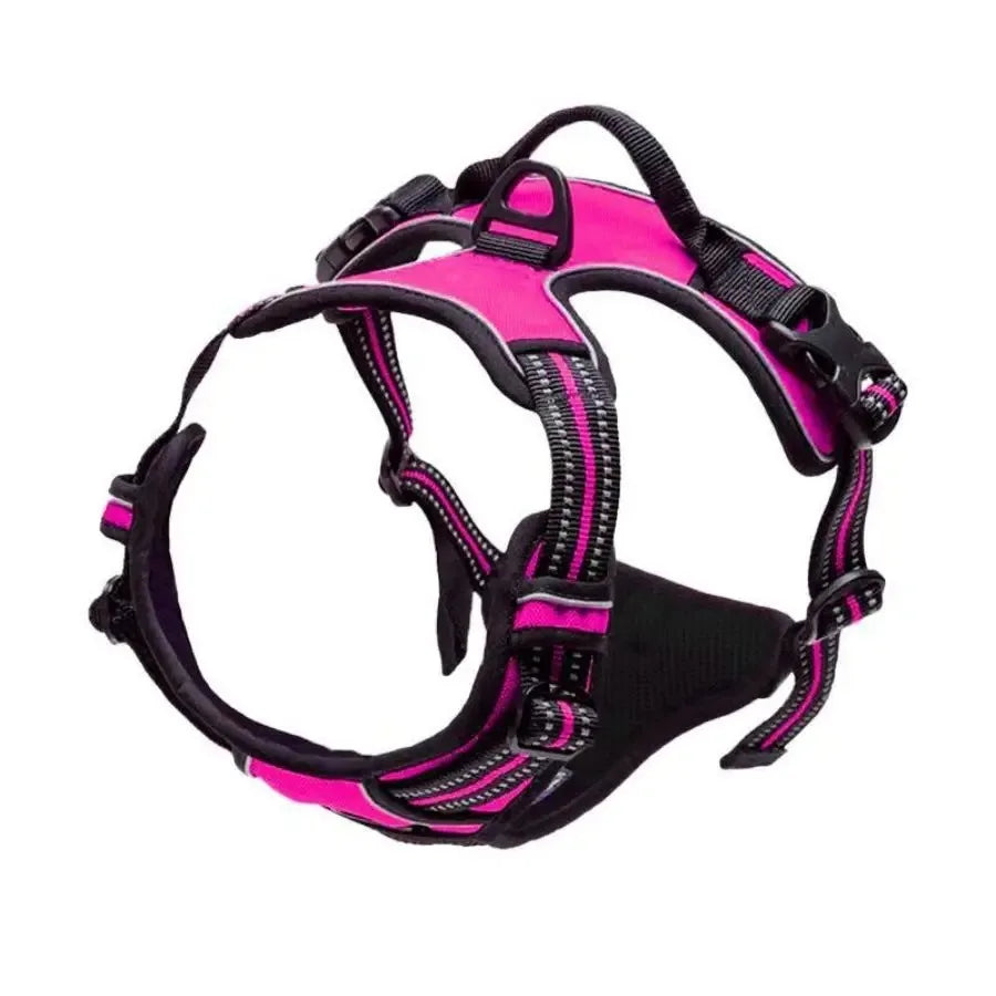 Premium Dog Harness Set