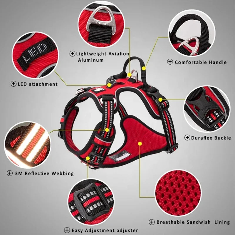 Dog Harness and Leash Set