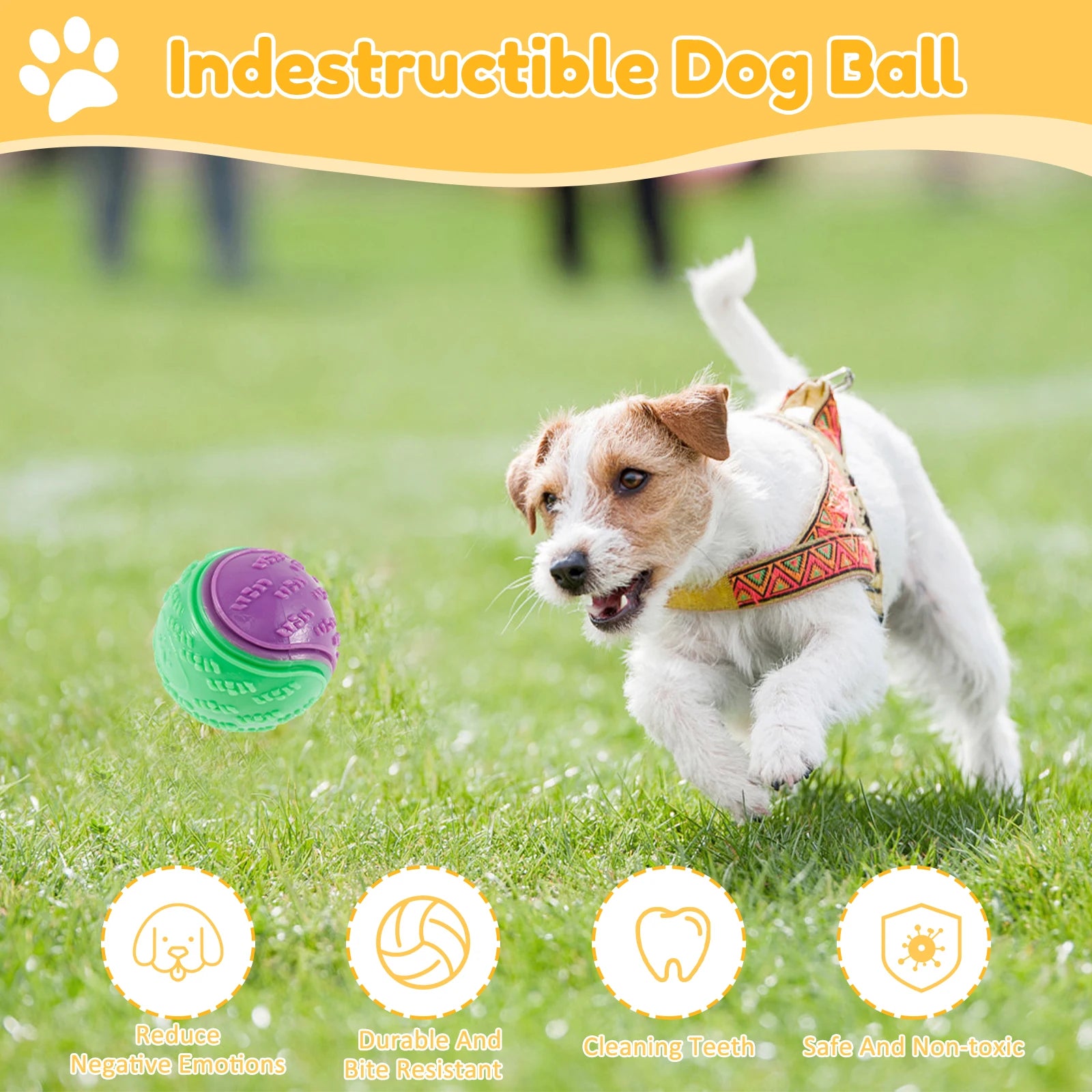 Squeaky Dog Ball Toy Set