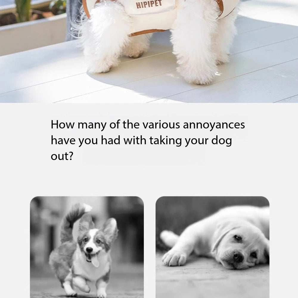 Pet Sling Carrier with Harness