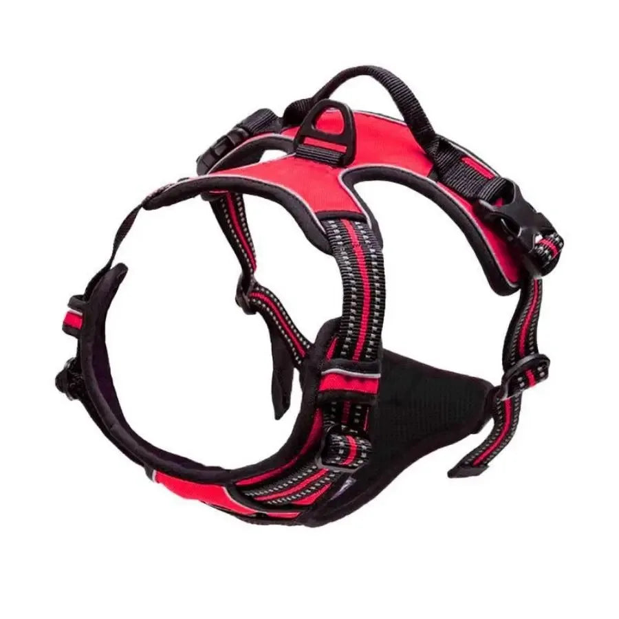 Premium Dog Harness Set
