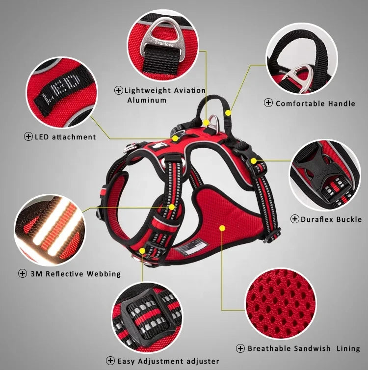 Dog Harness and Leash Set