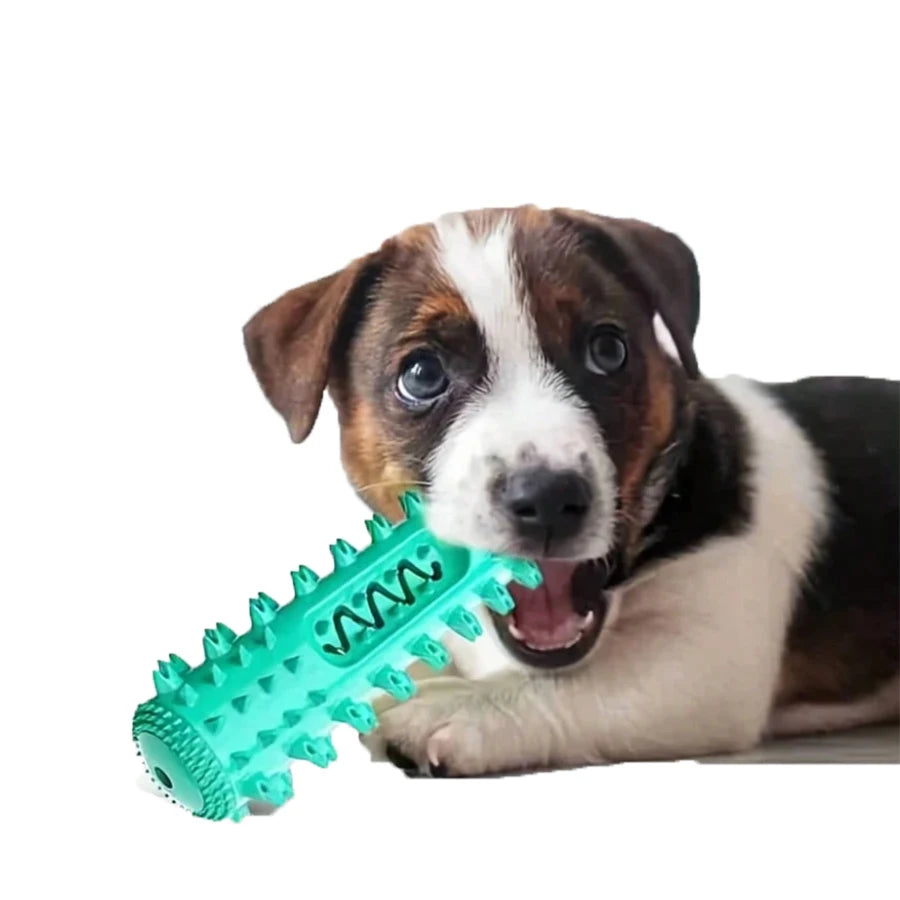 Dog Gift - Tooth Chewing toy, providing complete oral care for dogs that love chewing and preventing tartar accumulation