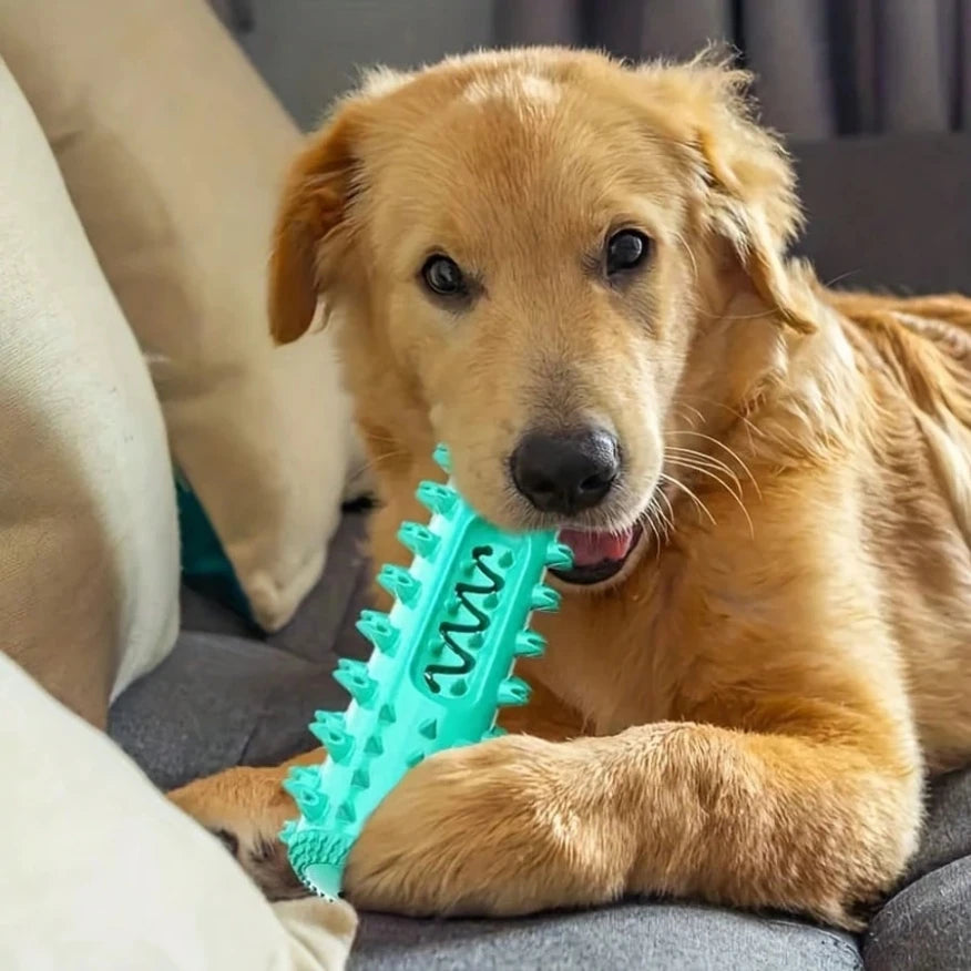 Dog Gift - Tooth Chewing toy, providing complete oral care for dogs that love chewing and preventing tartar accumulation