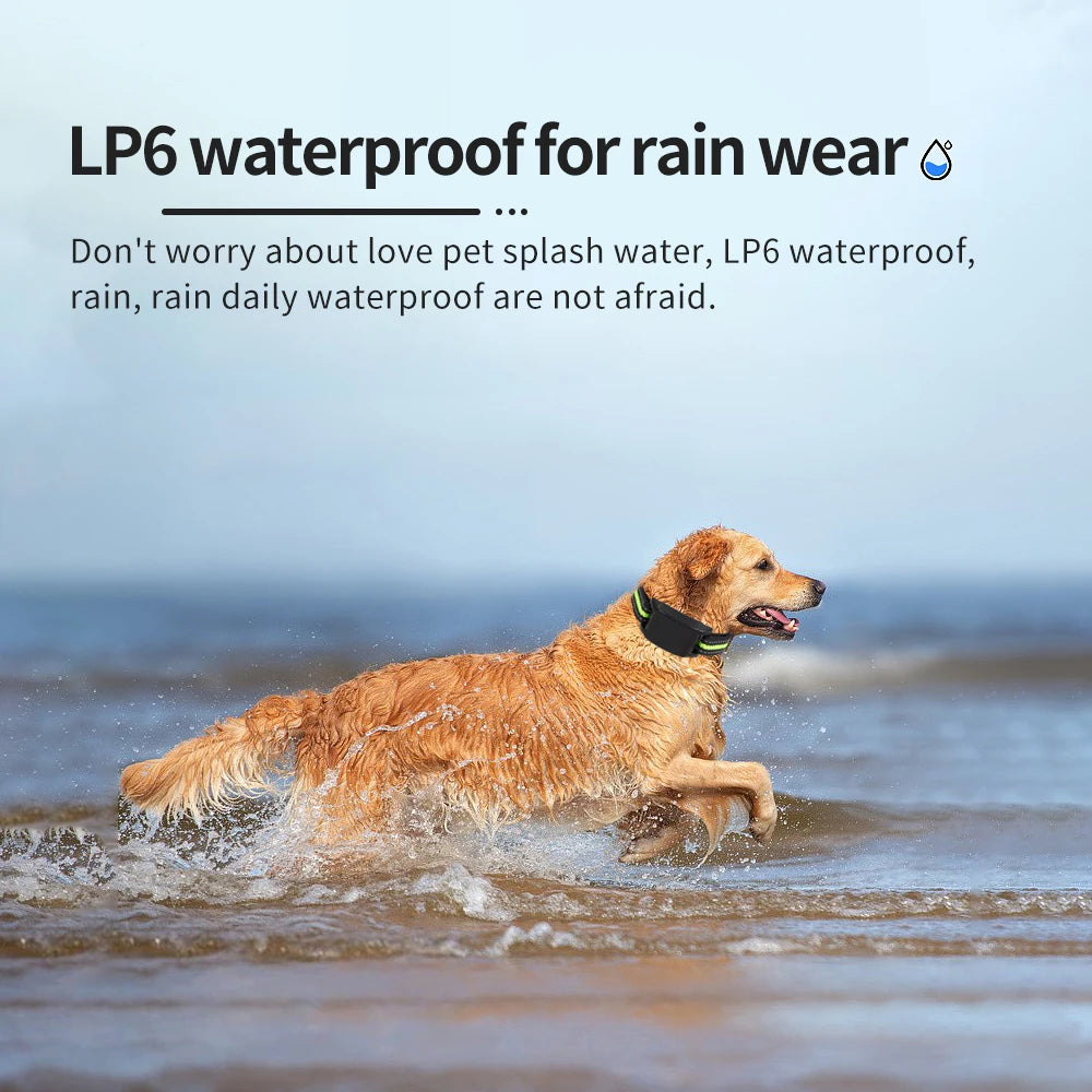 Dog Auto Anti-Bark Collar USB Rechargeable Training Collars Safety Static Shock