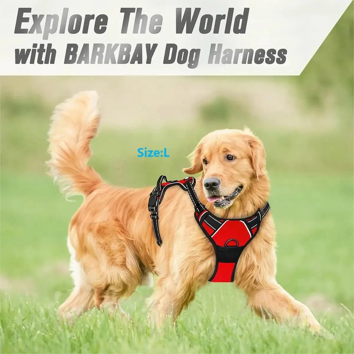 Premium Dog Harness Set