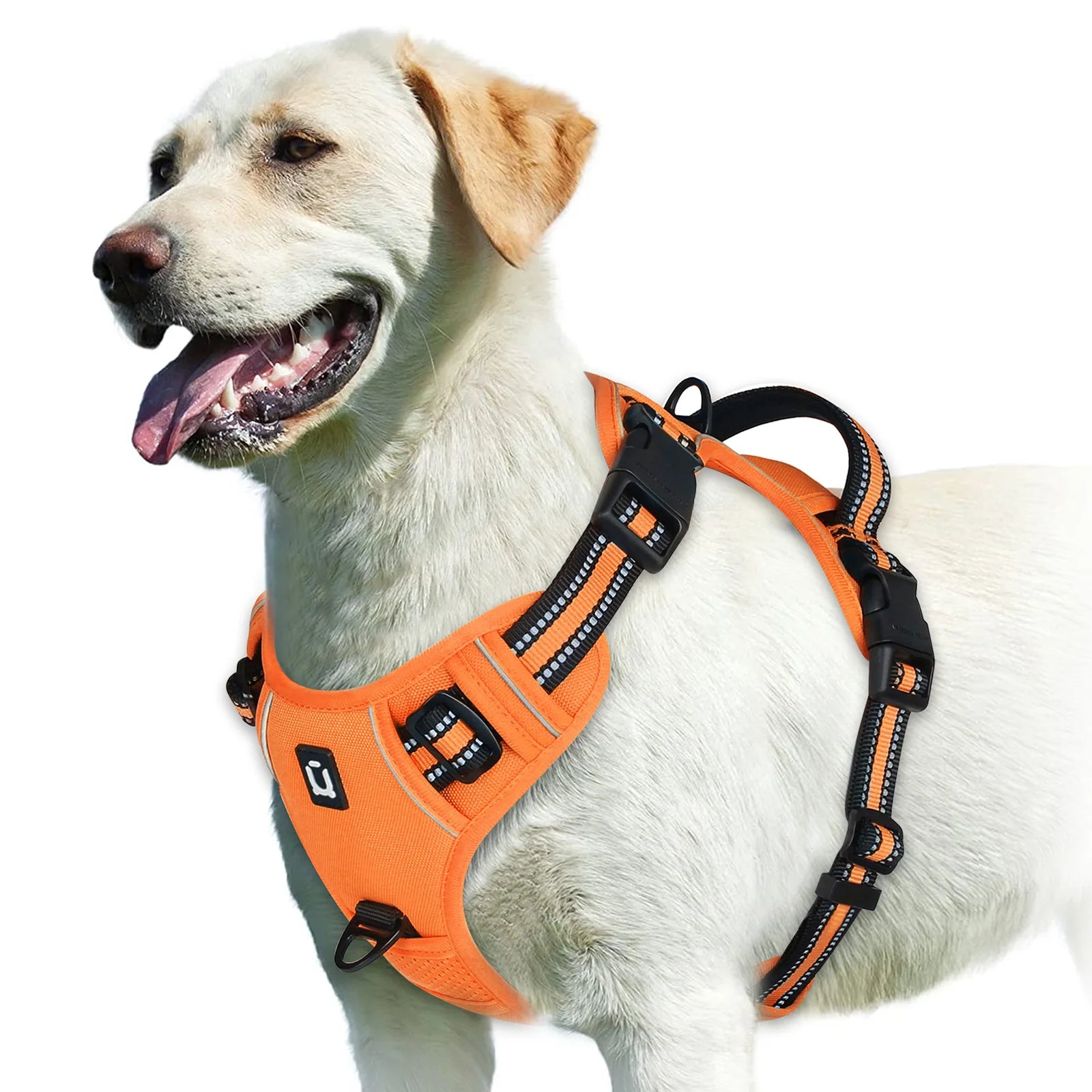 No-Pull Dog Harness Vest