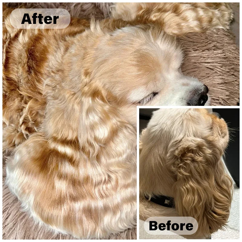 100ml Pet Shampoo for Poodles - Long-Lasting Deodorizing for Light Shedding Dogs - Perfect for Maintaining Soft Coats