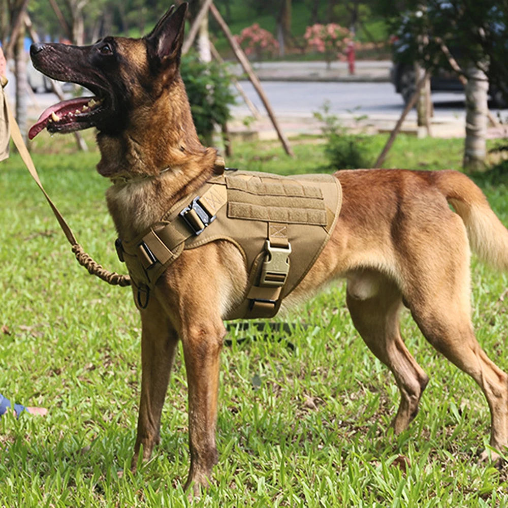 Tactical Dog Harness Vest