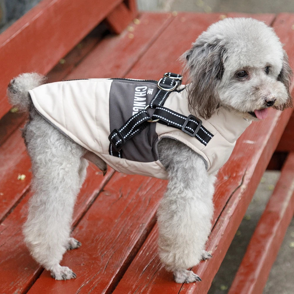 Dog Windbreaker Jacket with Leash