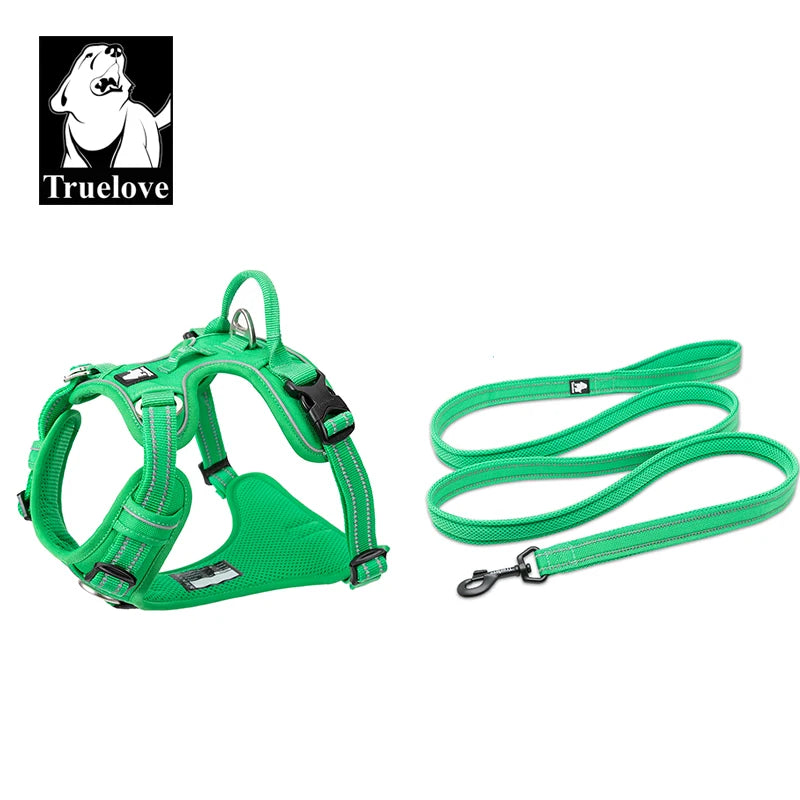 Dog Harness and Leash Set