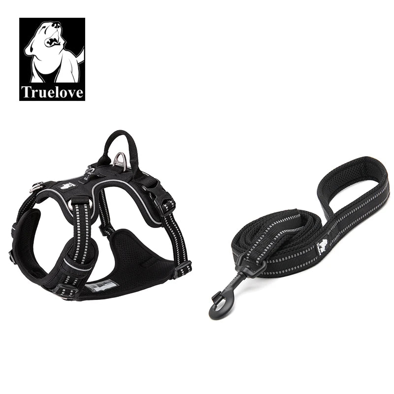 Dog Harness and Leash Set