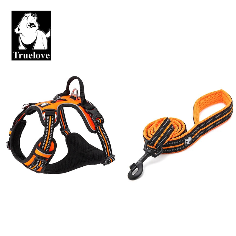Dog Harness and Leash Set