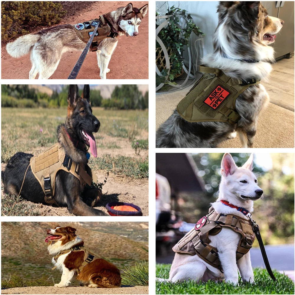 Tactical Dog Harness Vest