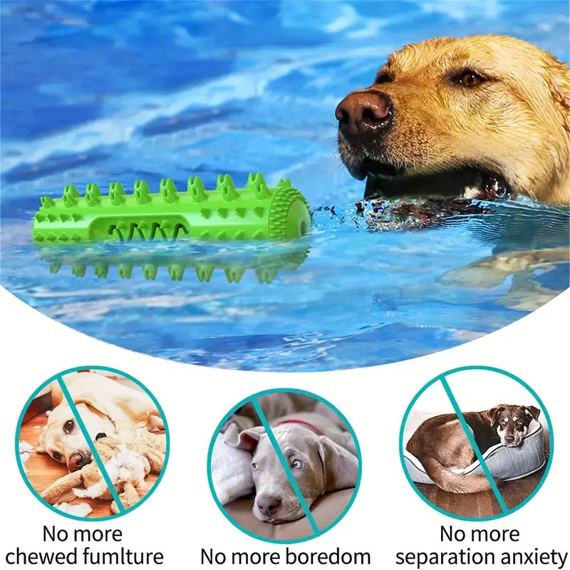 Dog Dental Chew Toothbrush Toy