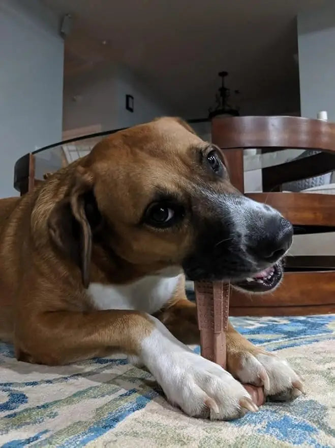 Dog Chew Toys Durable Oral Care Dog Chews Puppy Chew Toys Keep Teeth Clean for Mild Chewing