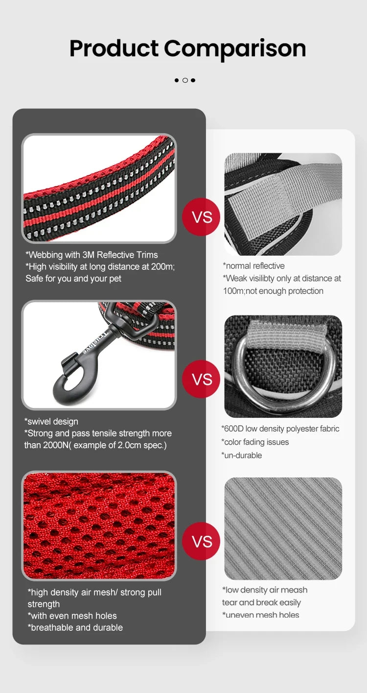 Dog Harness and Leash Set