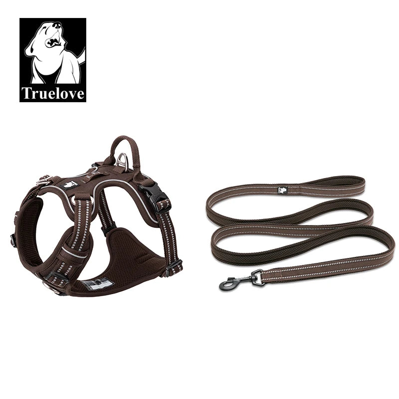 Dog Harness and Leash Set