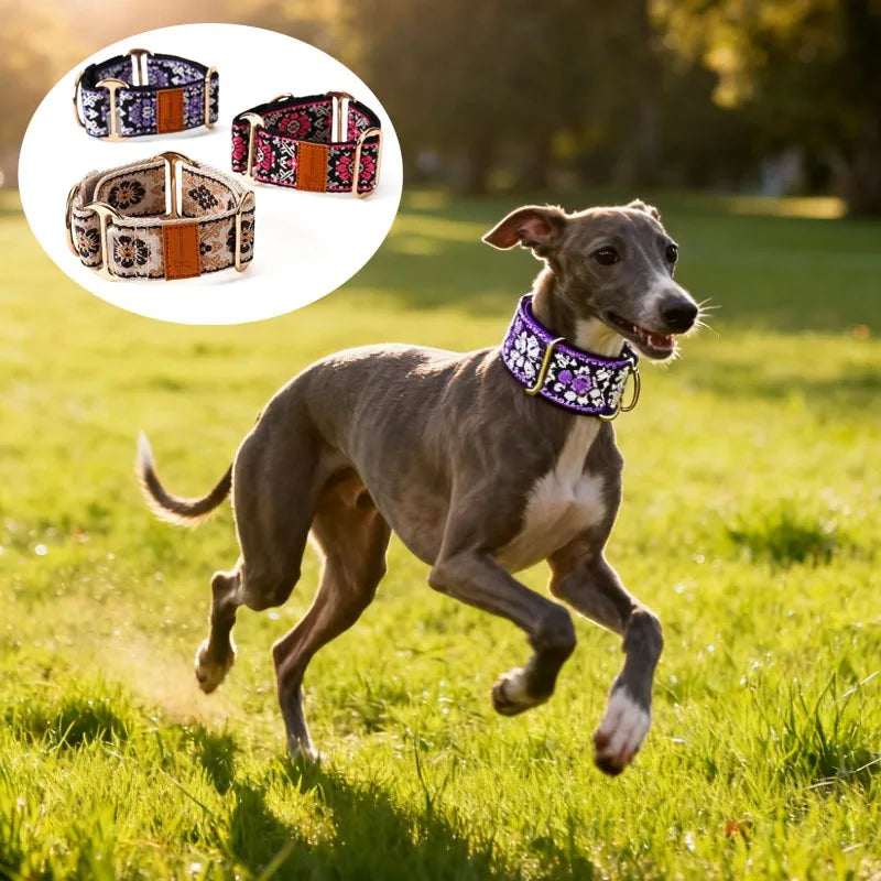 Dog Collar Chinese Ethnic Style Martingale Greyhound Collar Adjustable Beautiful Lggy Lurcher Whippet
