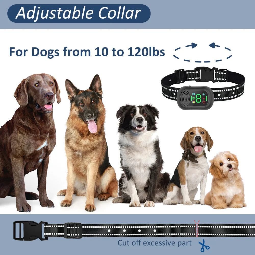 Dog Training Collar with Remote for Dogs 6500FT Remote Rechargeable Beep/Vibration/Shock/Remote Calling