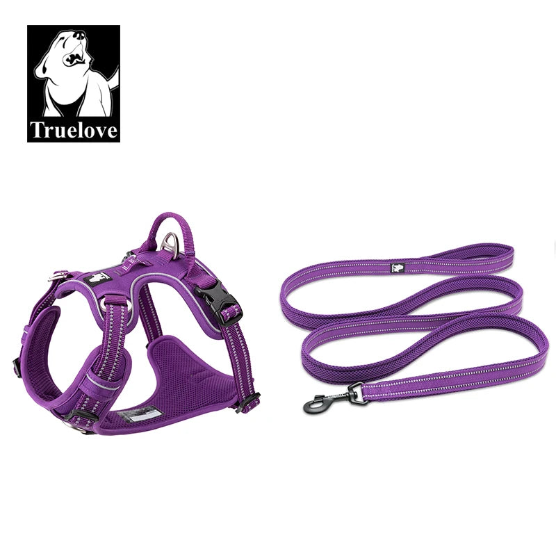 Dog Harness and Leash Set