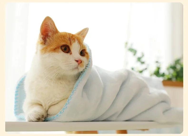Plush Pet Blanket