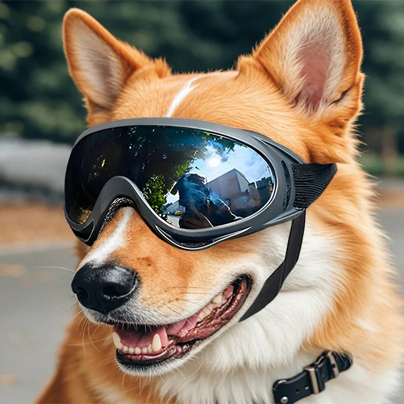 Dog Adjustable Dog Goggles Sunglasses Anti-UV Sun Glasses Eye Wear Protection