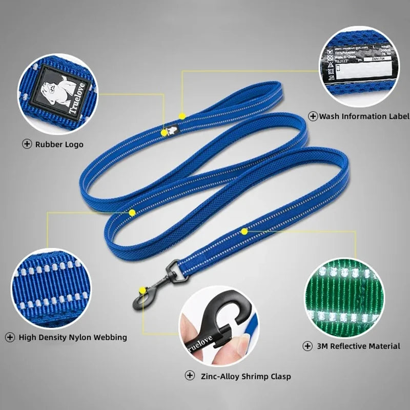 Dog Harness and Leash Set
