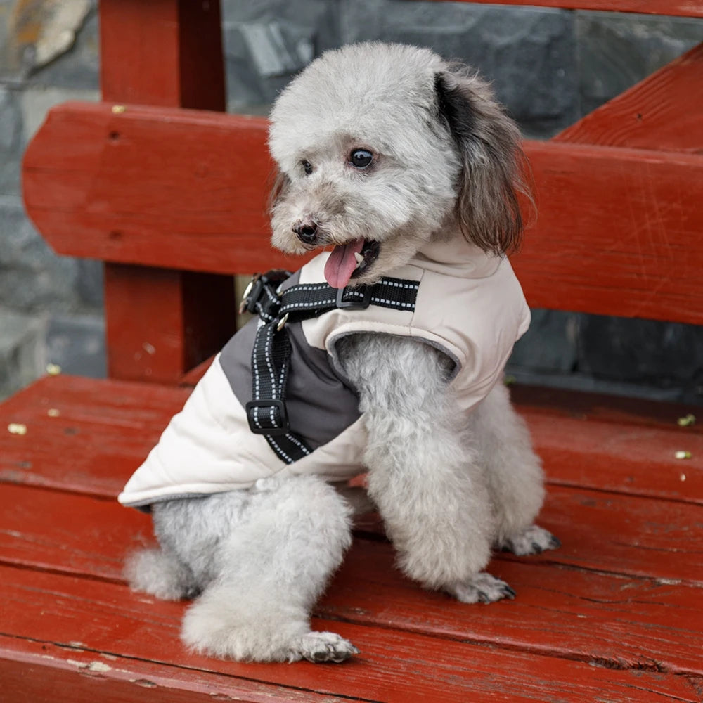 Dog Windbreaker Jacket with Leash