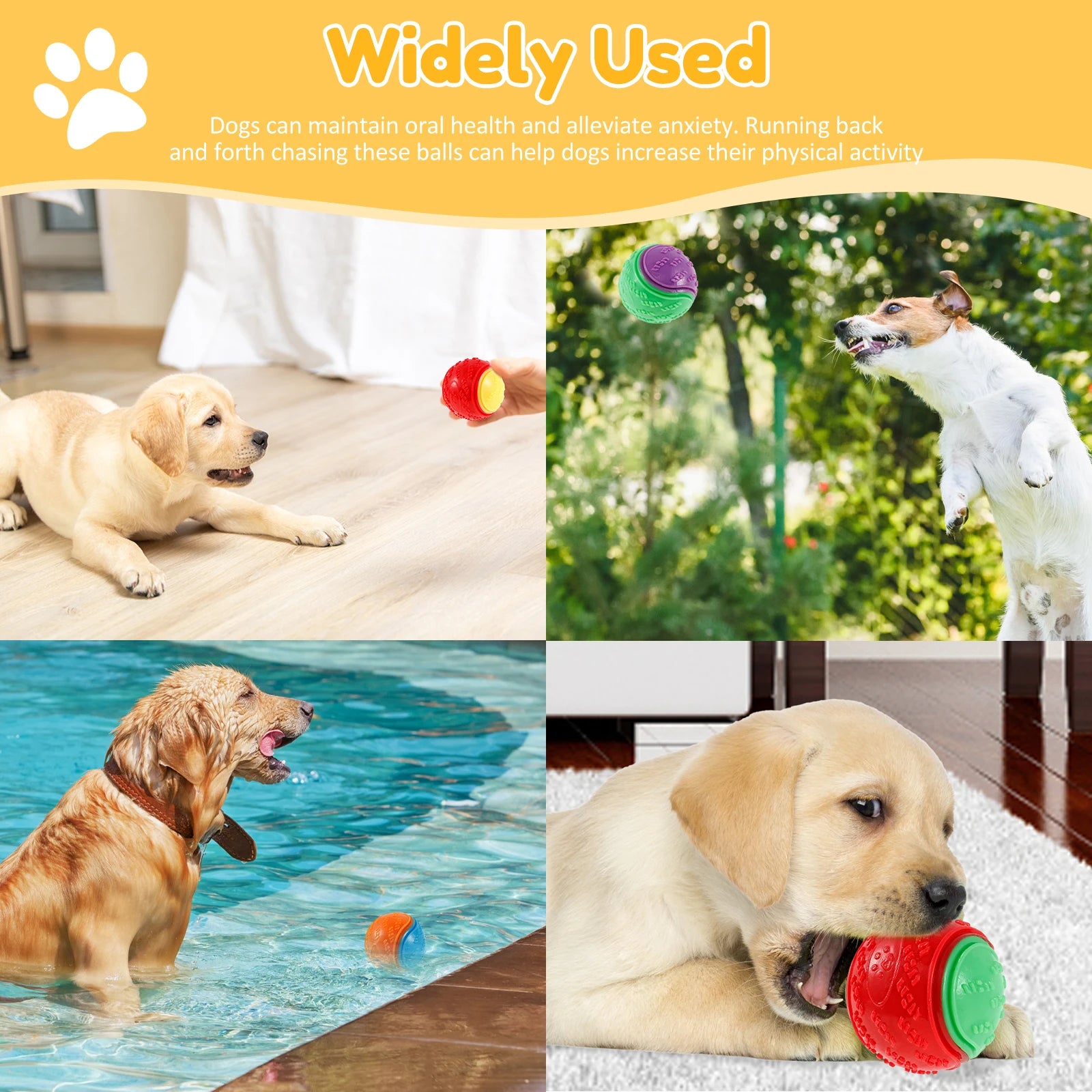 Squeaky Dog Ball Toy Set