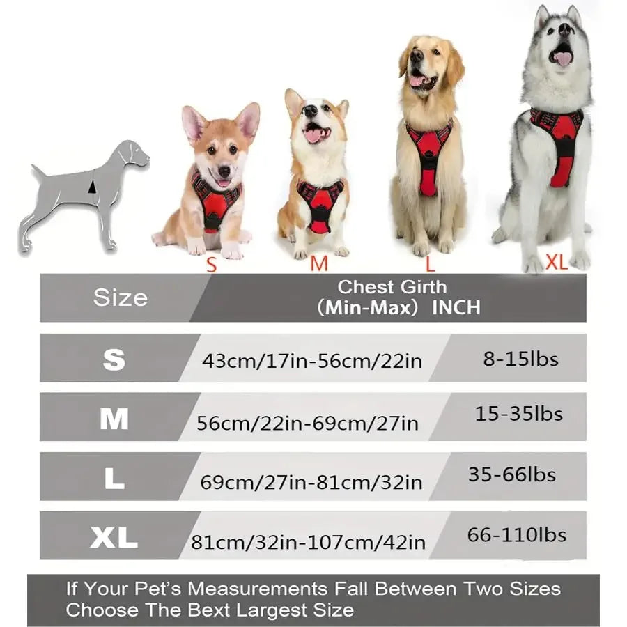Premium Dog Harness Set