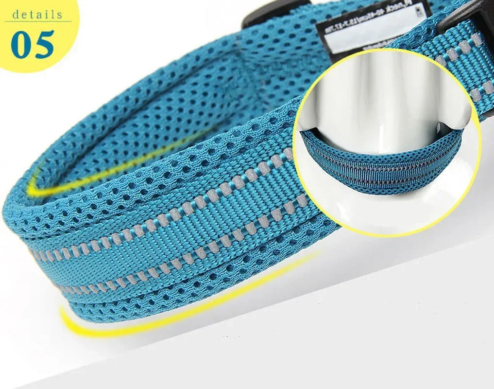 Reflective Padded Dog Collar