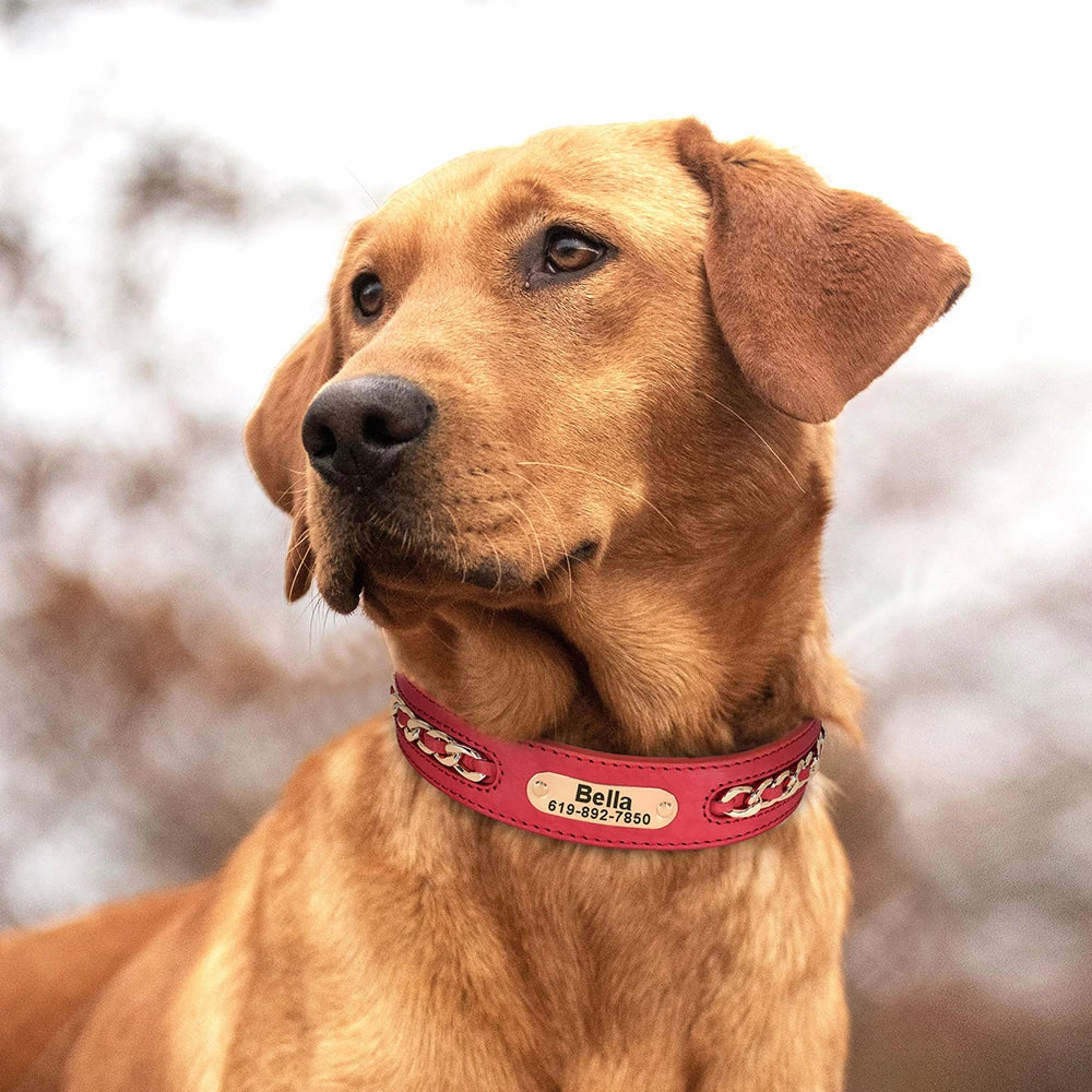 Personalized Dog Collar Free Custom Dog ID Name Collars With Chain Accessories Durable Leather