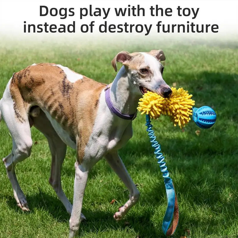 Dog Toy Rope Fun Squeaky Dog Chew Toys Pet Supplies Puppy Rope Toy with Elastic Drawstring