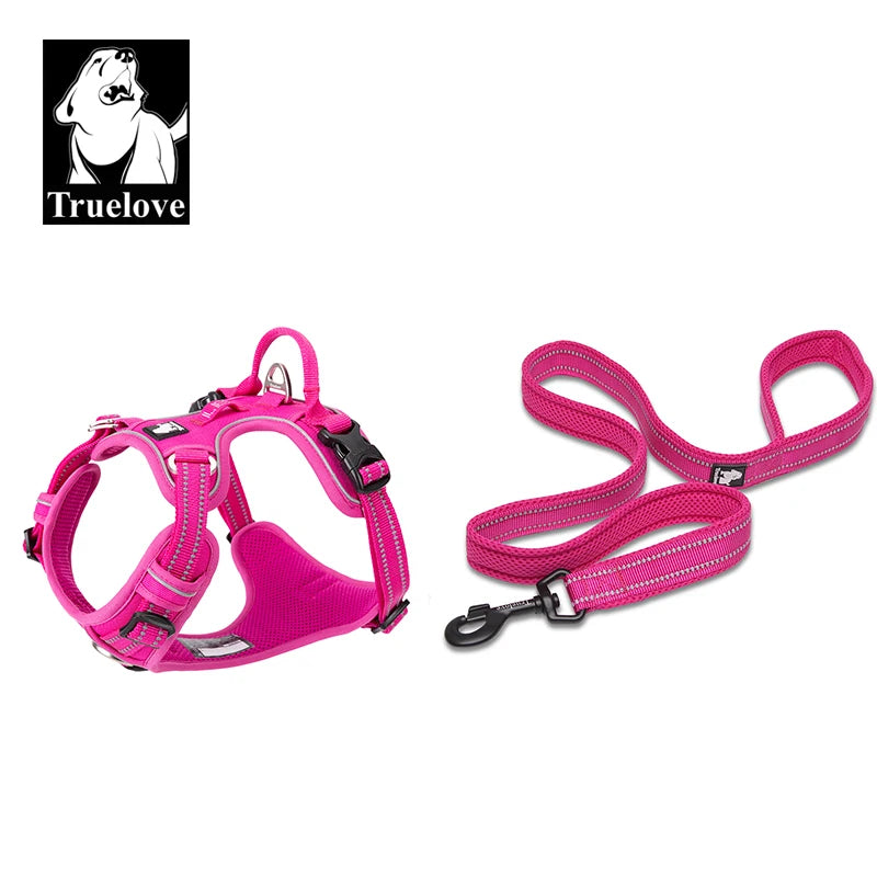 Dog Harness and Leash Set